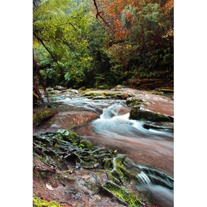 Waterfall Stream in Autumn, 118x80cm Can