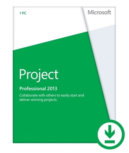 Microsoft Project Professional 2013 - 1 